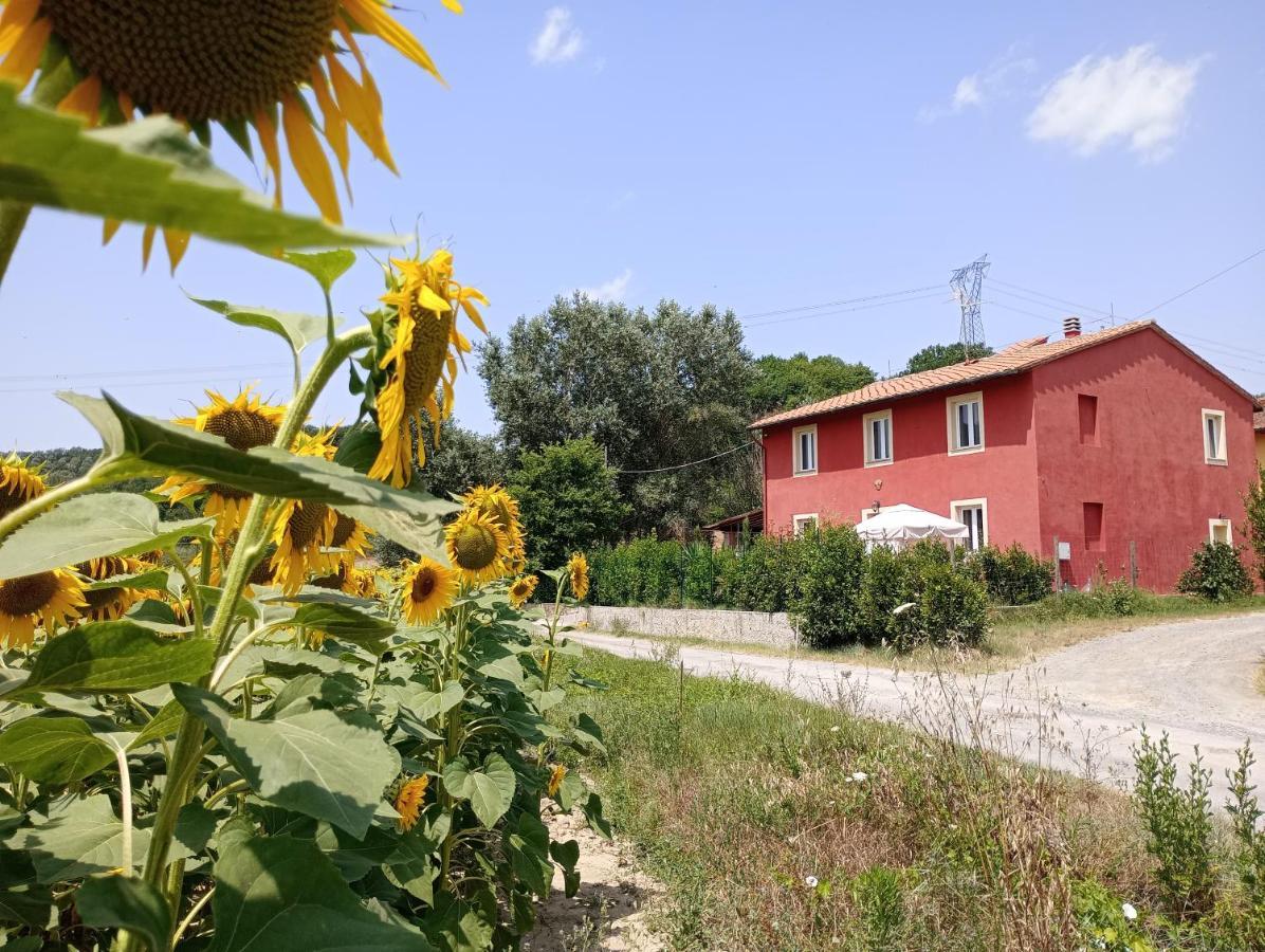 La Casa Rossa Bed & Breakfast Coiano Dış mekan fotoğraf
